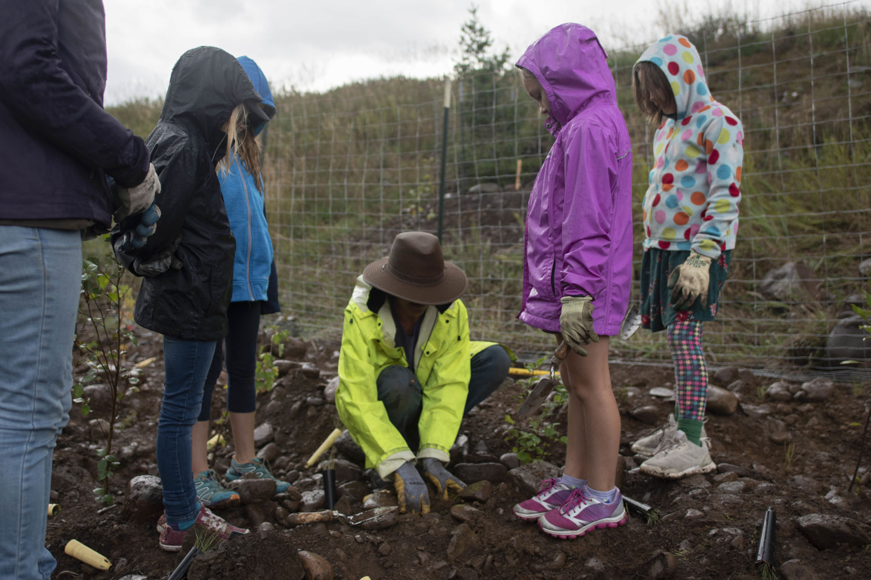 Tree Planting 03
